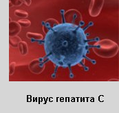 Вирус гепатита С